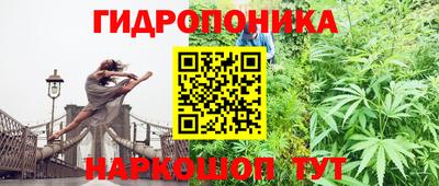 дурь Гусь-Хрустальный