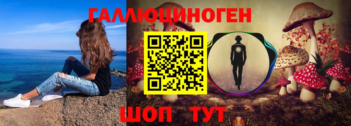 Псилоцибиновые грибы прущие грибы Новоалтайск